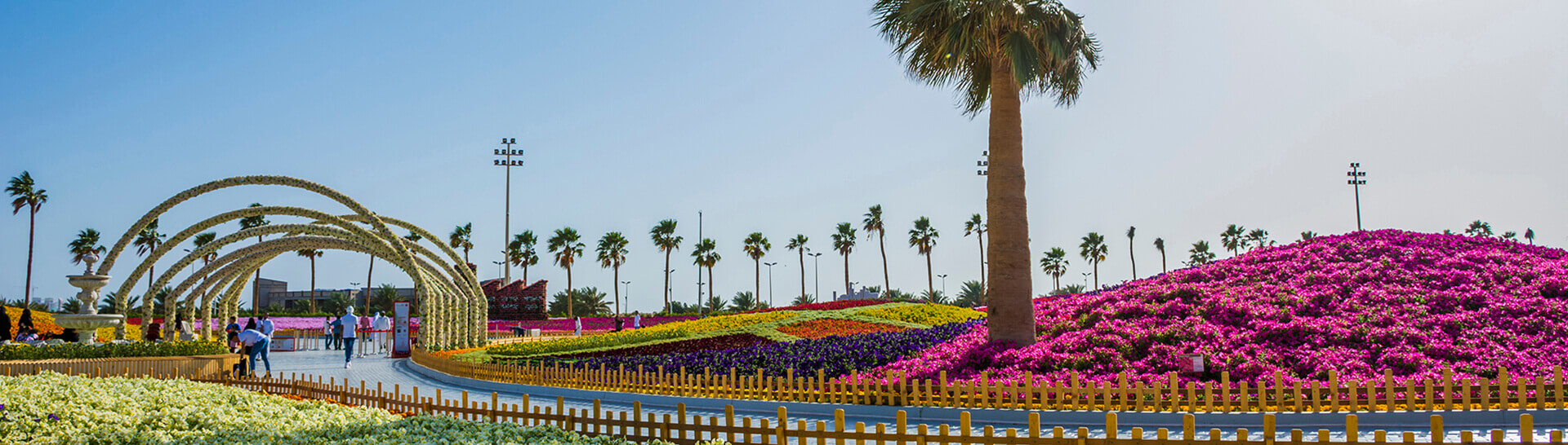 aircairo