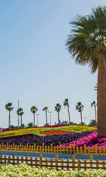 aircairo